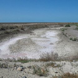 تالاب بندعلیخان کاملا خشک شد