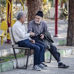 سالمندان شاهرودی در ظهر پاییزی یک پارک