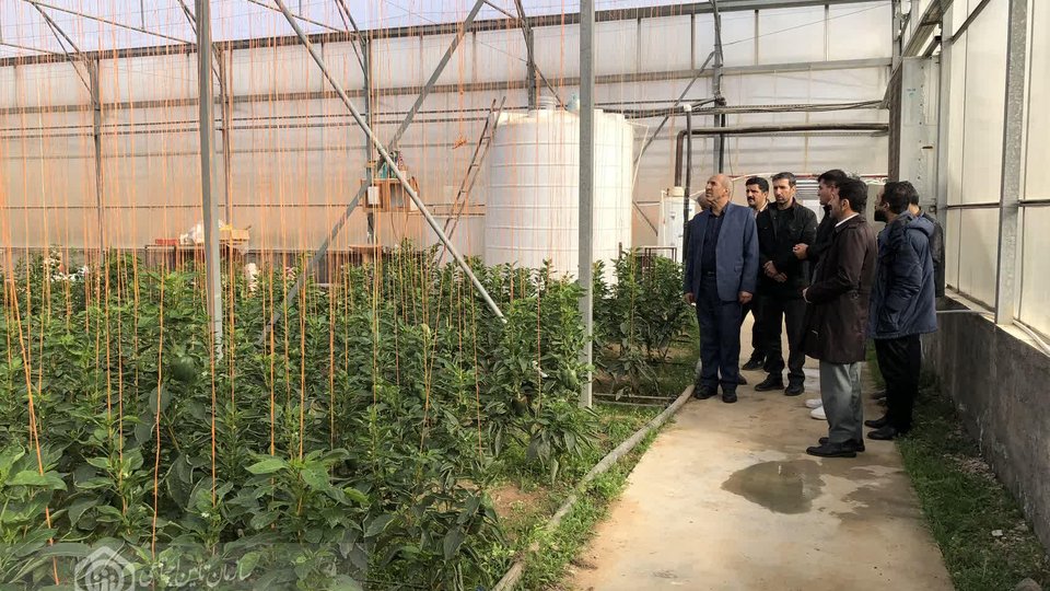 آموزش کارفرمایان کردستانی در دوره مشاوره کارگاهی تأمین‌اجتماعی