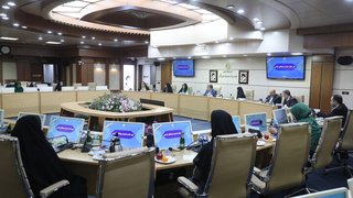 سندملی توانبخشی؛ آماده برای تصویب نهایی