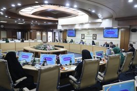 سندملی توانبخشی؛ آماده برای تصویب نهایی