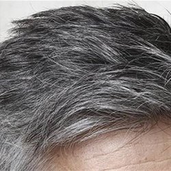 سفید شدن مو و پیر شدن؛ دو روی یک فرآیند دفاعی