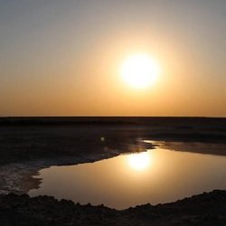 تالابهای شادگان و هورالعظیم در آستانه فاجعه زیست‌محیطی