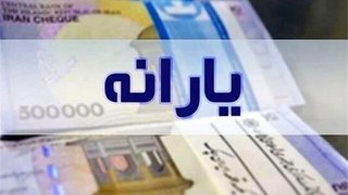طرح جدید هدفمندی یارانه‌ها؛  سه دهک ۲ برابر یارانه‌ خرید کنند و اقساطی بپردازند