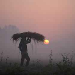 فاجعه غذایی جهانی در پی جنگ ایران در راه است