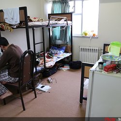 از موش تا خفت‌گیری؛ بحران پنهان در خوابگاه‌های دانشجویی پایتخت