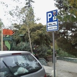 هشدار پلیس به رانندگان؛ در محل اختصاصی معلولان پارک نکنید