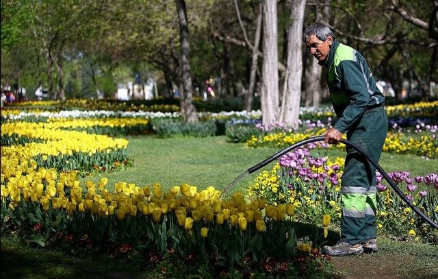 راهبرد جدید برای بازگشت کارگر ایرانی به مشاغل خدماتی