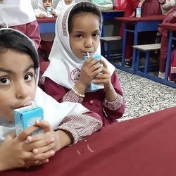 برنامه شیر مدارس کوتاه‌قدی دانش‌آموزان را کاهش داد