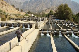 مزارع پرورش ماهی در تنگنای سیاست‌های انرژی
