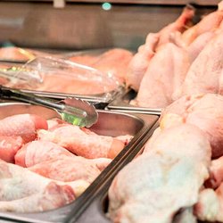 قیمت جوجه یک‌روزه یک‌چهارم نرخ مصوب شد