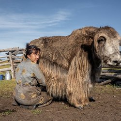 تغییر اقلیم؛ آب شدن مغولستان