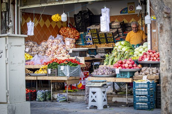نظارت بر قیمت میوه شب یلدا و جریمه ۳۳ همتی