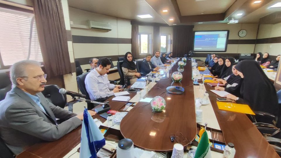 هم‌اندیشی داروسازان تأمین‌اجتماعی کرمان با محوریت بیماران مزمن