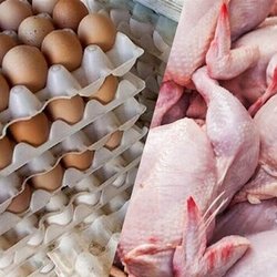 قیمت جدید گوشت، تخم‌مرغ و مرغ اعلام شد