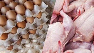قیمت جدید گوشت، تخم‌مرغ و مرغ اعلام شد