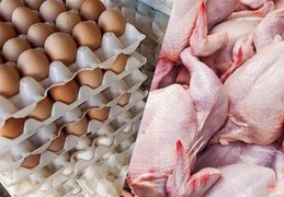 قیمت جدید گوشت، تخم‌مرغ و مرغ اعلام شد