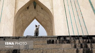 غبار انفجار بر تن تهران
