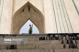 غبار انفجار بر تن تهران