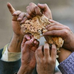 سوء‌تغذیه ناشی از گرانی، عامل رشد چاقی و دیابت در جامعه