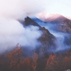 معاون سازمان محیط زیست: پیشنهاد برداشت درختان شکسته مبنای علمی ندارد