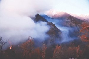 مافیای چوب پشت پرده آتش‌سوزی؟