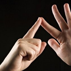 از «زبان اشاره» تا «حق شهروندی»؛ برنامه جدید بهزیستی برای ناشنوایان