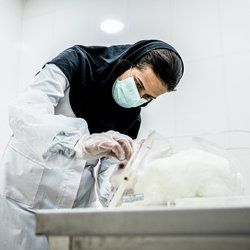 سهم پنهان خرگوش‌ها در مسیر پژوهش‌های آزمایشگاهی و پزشکی
