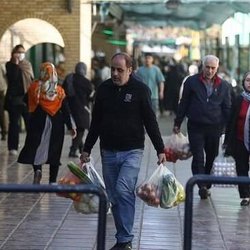 تشکیل قرارگاه معیشت و امنیت غذایی در تهران؛ از توسعه بازارهای تره‌بار تا طرح جدید مقابله با موش‌های شهری