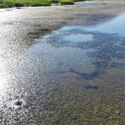 منابع آبی جهان در بحران