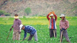 حمایت دولت از روستاییان با بسته‌های حمایتی