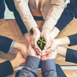 تعاونی‌ها در مواجهه با کمبود نقدینگی