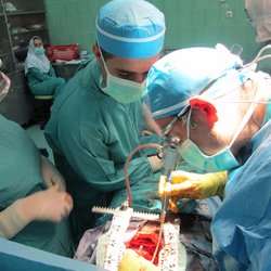 قلب پیوندی؛ فقط برای  ۲۰ درصد از متقاضیان لیست انتظار