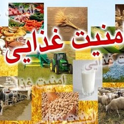 بازنگری نقشه امنیت غذایی کشور در سال ۱۴۰۵؛ استان‌های ناامن غذایی شناسایی می‌شوند