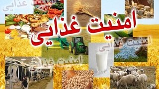 بازنگری نقشه امنیت غذایی کشور در سال ۱۴۰۵؛ استان‌های ناامن غذایی شناسایی می‌شوند