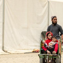 کمیساریای عالی پناهندگان سازمان ملل: آوارگی اجباری برای نخستین بار کاهش یافت