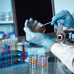 آزمایشگاه‌های تشخیص پزشکی در آستانه تعطیلی