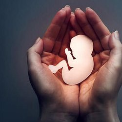 سقط جنین در ایران؛ آمارهای «نگران‌کننده» در مقابل سلامتی زنان