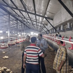 خسارت سنگین سیل به کشاورزی ساری
