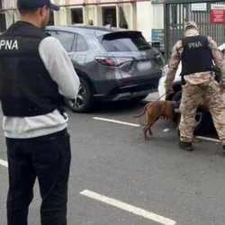 بازداشت بیش از هزار نفر در عملیات جهانی مقابله با قاچاق انسان