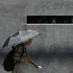عکس‌های روز گاردین