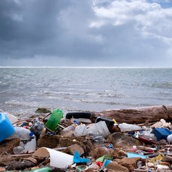 آلودگی پلاستیکی؛ نفوذ پلاستیک به مغز، خون و جنین