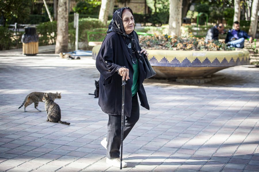 زنان بازنشسته (9).JPG