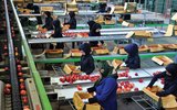 زنان در تله کار ارزان و غیررسمی