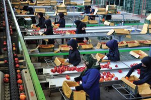 زنان در تله کار ارزان و غیررسمی