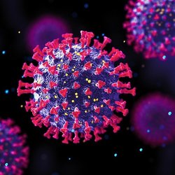 کرونا در صدر ویروس‌های تنفسی طی هفته گذشته