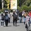 کاهش بیکاری با روش «خروج از بازار کار»
