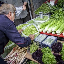 یک روز از بازار سبزی و میوه تجریش؛ چند دقیقه حال خوش