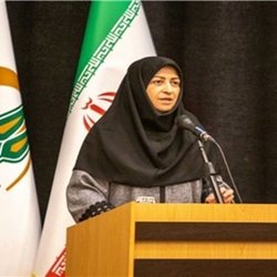 شینا انصاری: بدون ارزیابی محیط‌زیستی هیچ طرحی نباید اجرا شود