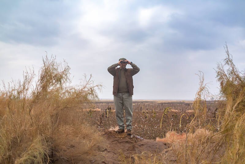 رویای حفاظت از محیط‌زیست، در بن‌بست امنیتی